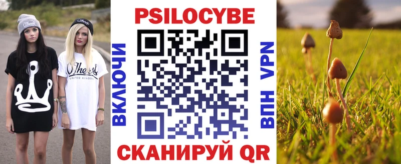 Псилоцибиновые грибы мухоморы Минеральные Воды